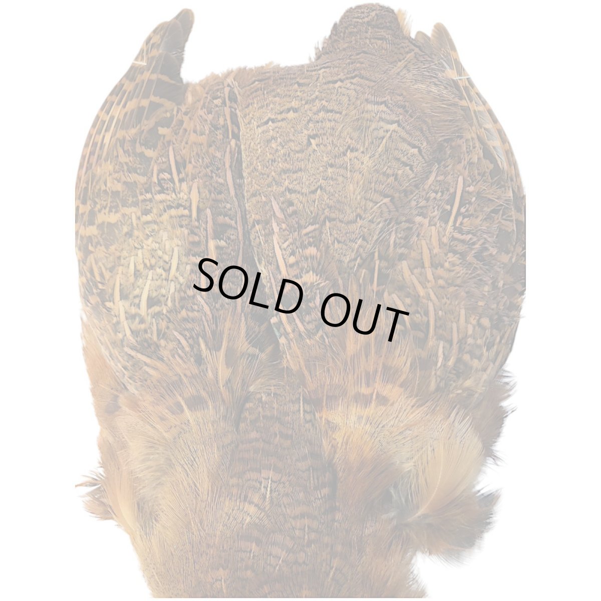 画像2: CANAL  キャナル　パートリッジ　コンプリート　ブラウン (2)