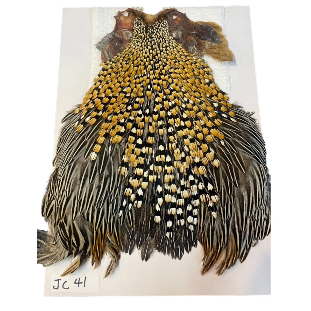 画像1: ジャングルコック　NO41　JUNGLE　COCK (1)