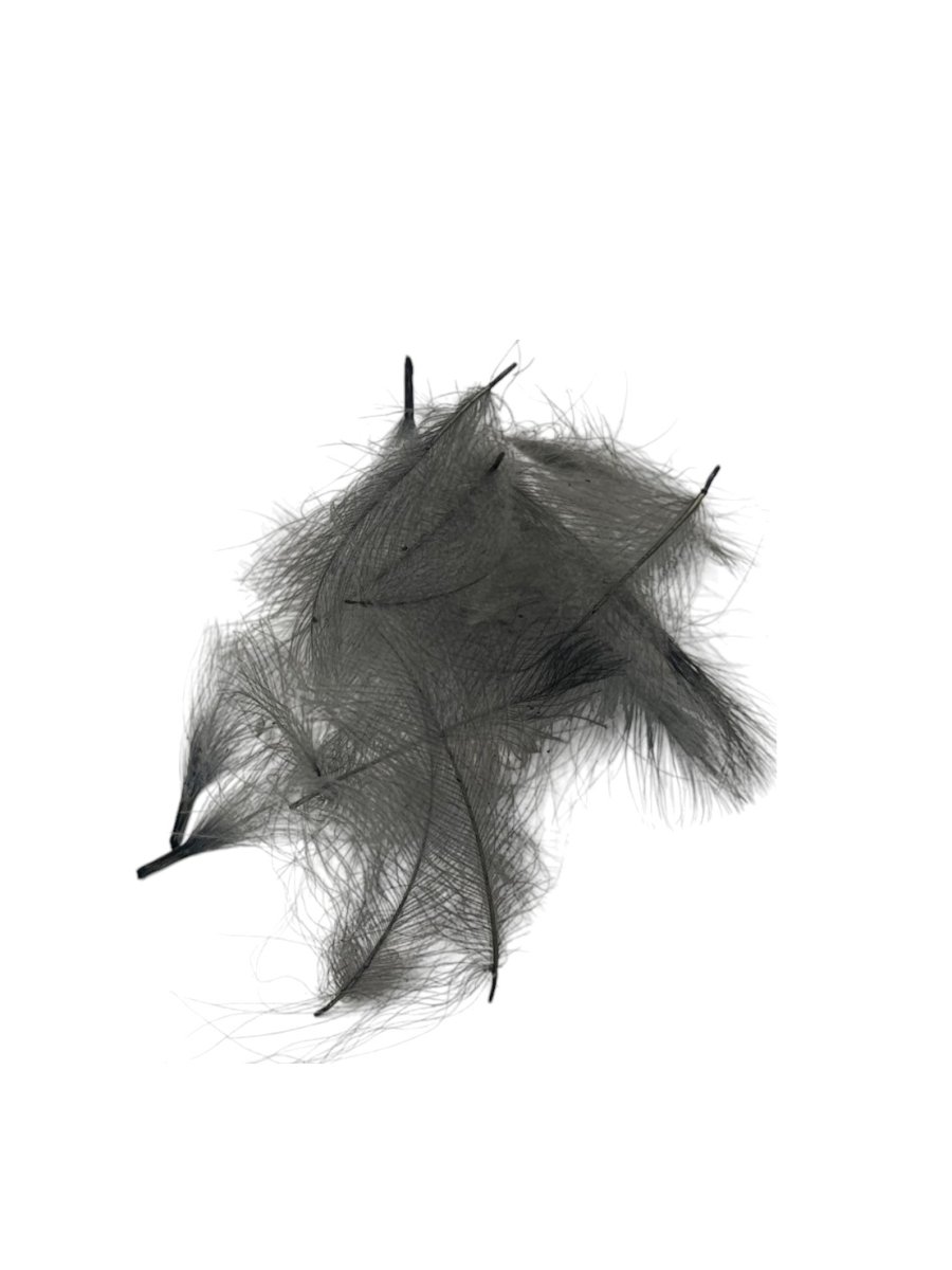 画像3: トラウトハンター プレミアムCDC 2g  (3)