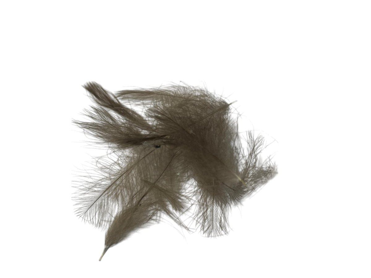 画像2: トラウトハンター プレミアムCDC 2g  (2)