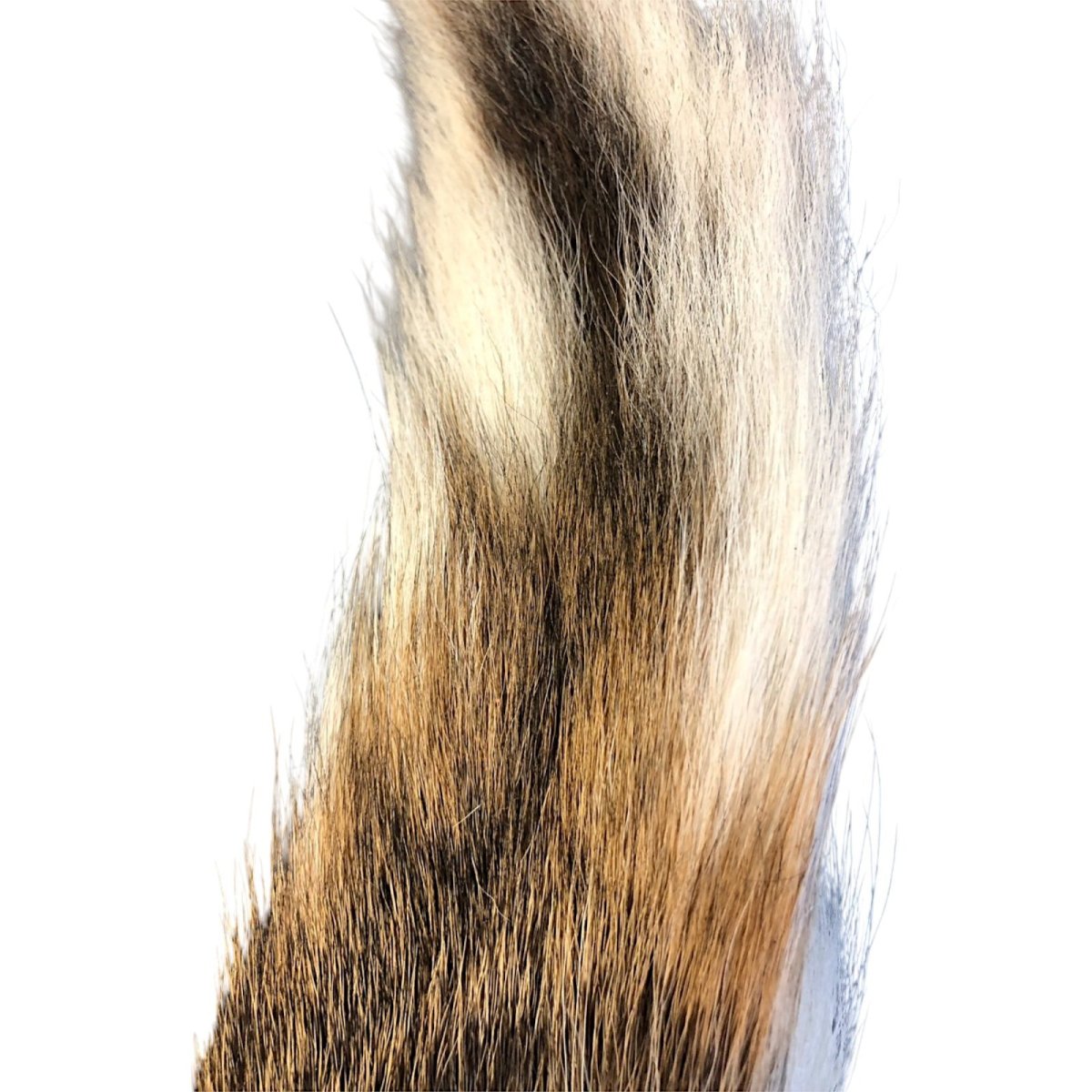 画像2: BACK TAIL バックテール ナチュラル BAT2 数量限定 希少マテリアル (2)