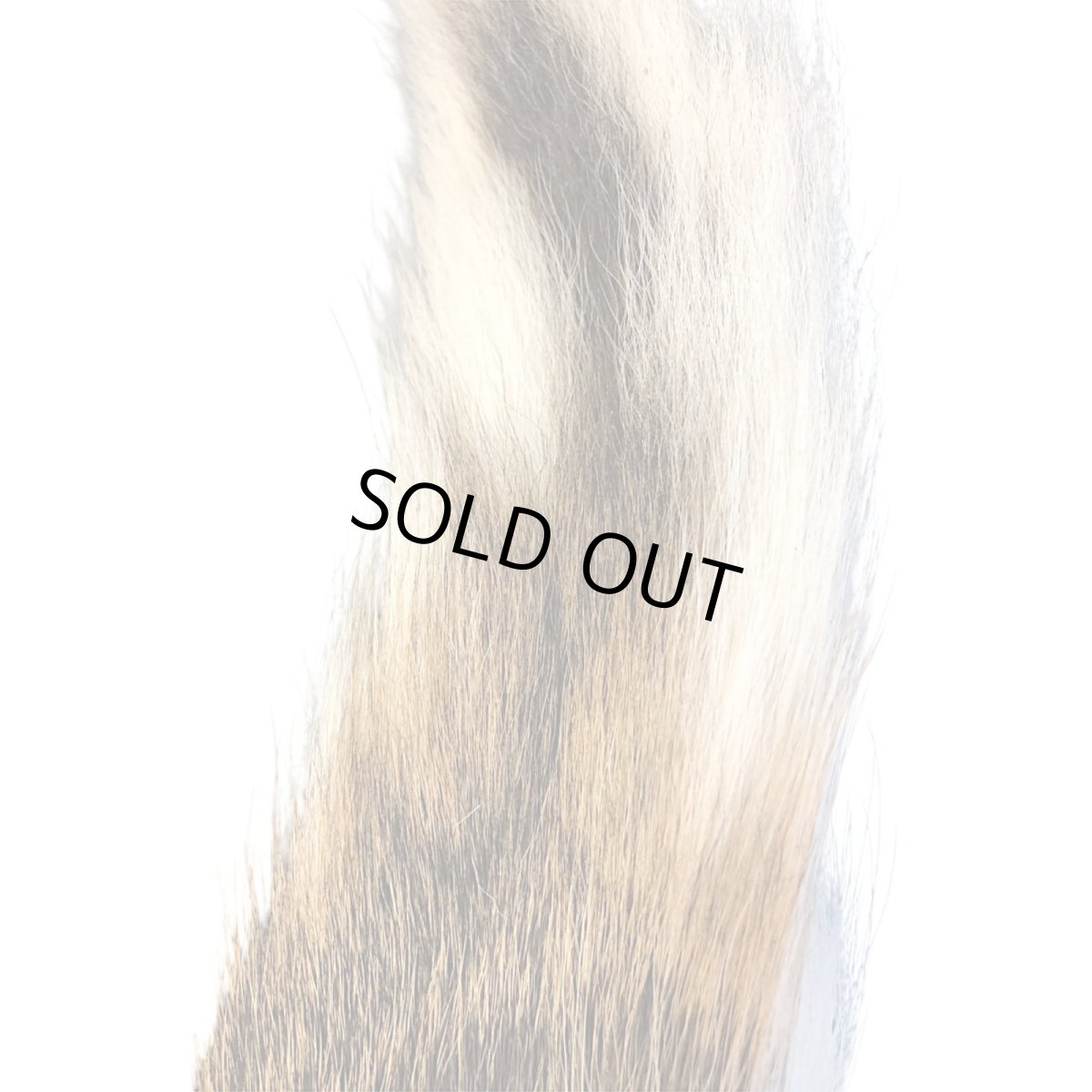 画像2: BACK　TAIL　バックテール　ナチュラル　BAT2　数量限定　希少マテリアル (2)