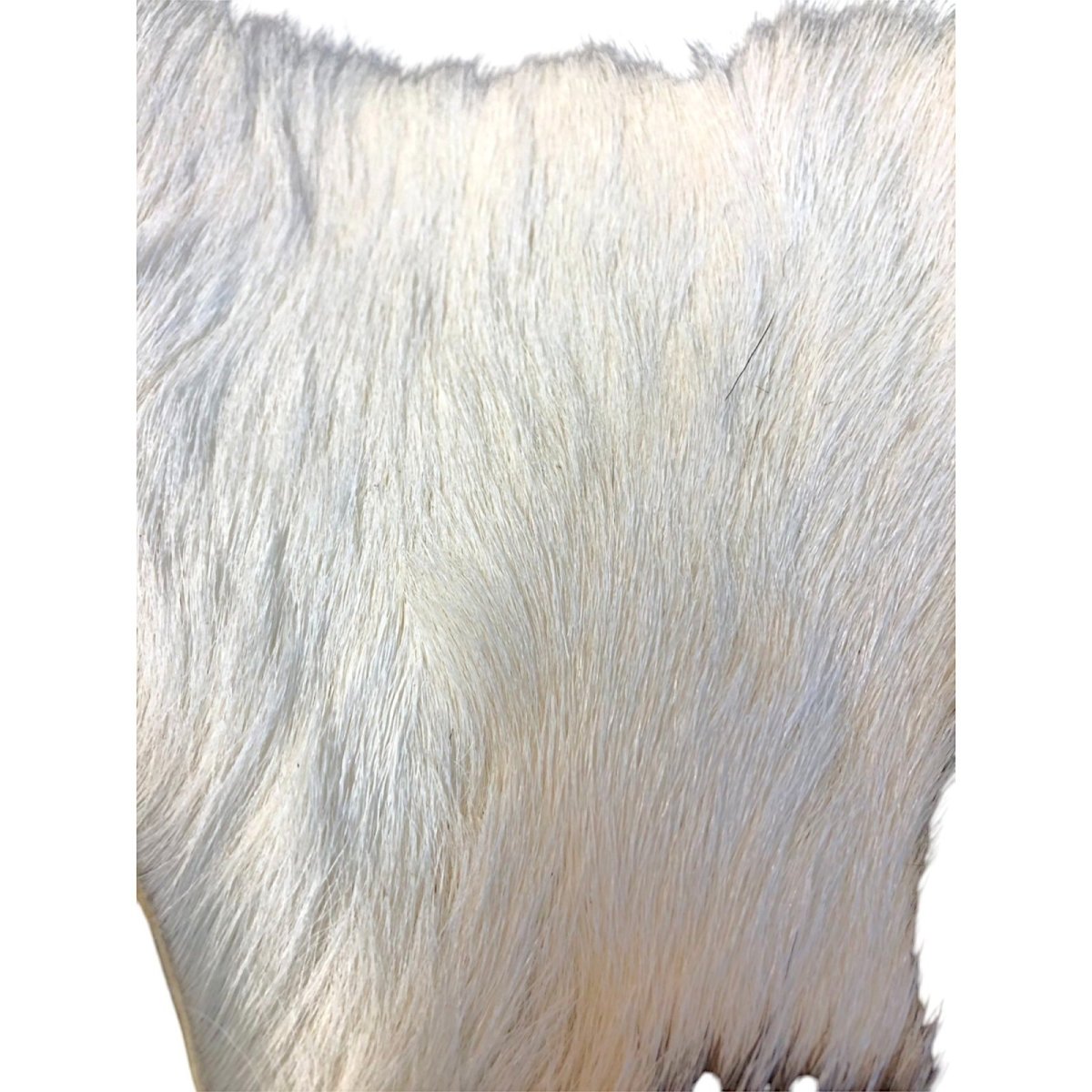 画像2: Calf body カーフボディー ナチュラル COWB1 数量限定 希少マテリアル (2)