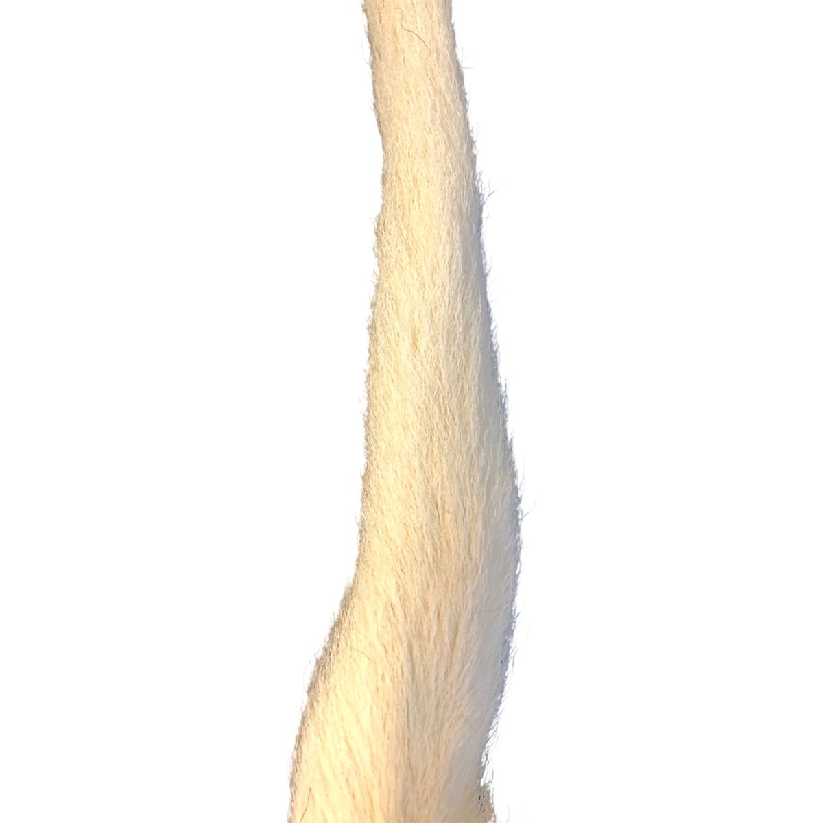 画像2: Calf Tail カーフテール ナチュラル CART27 数量限定 希少マテリアル (2)