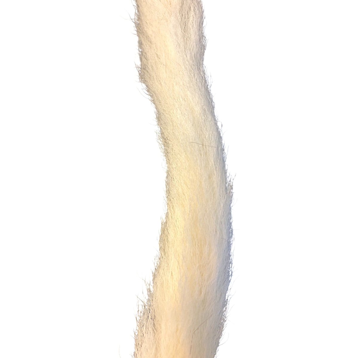 画像2: Calf Tail カーフテール ナチュラル CART17 数量限定 希少マテリアル (2)