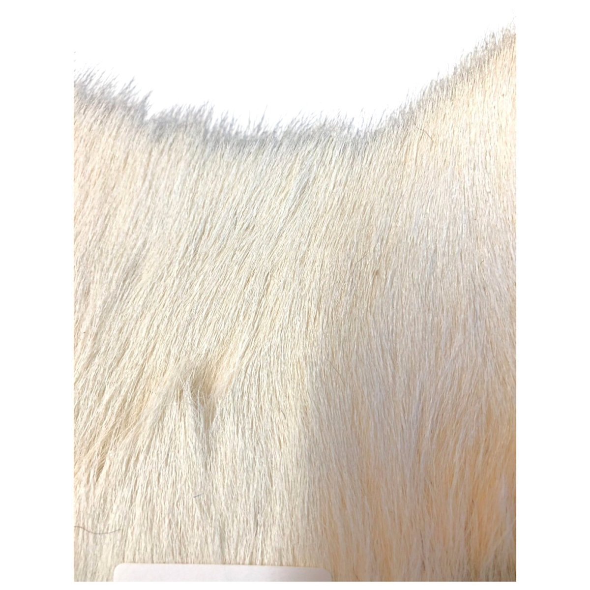 画像2: Calf body カーフボディー ナチュラル COWB3 数量限定 希少マテリアル (2)