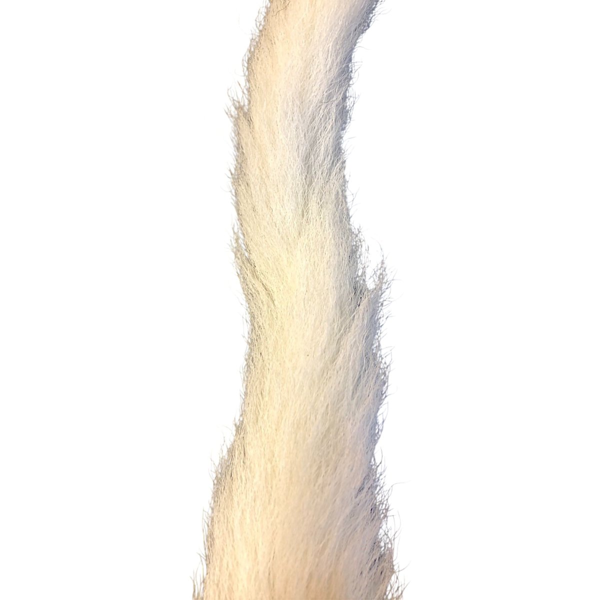 画像2: Calf Tail カーフテール ナチュラル CART26 数量限定 希少マテリアル (2)