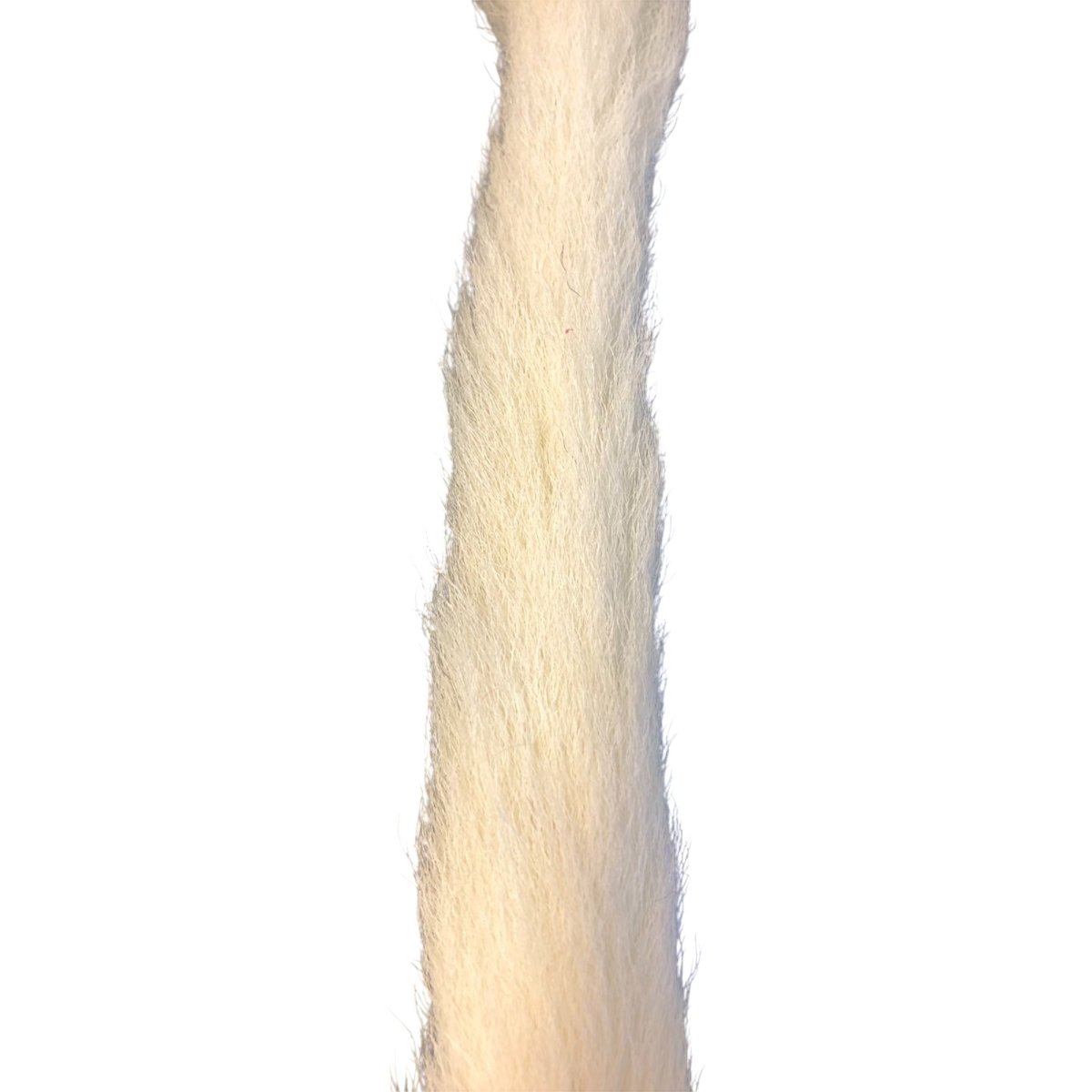 画像2: Calf Tail カーフテール ナチュラル CART33 数量限定 希少マテリアル (2)