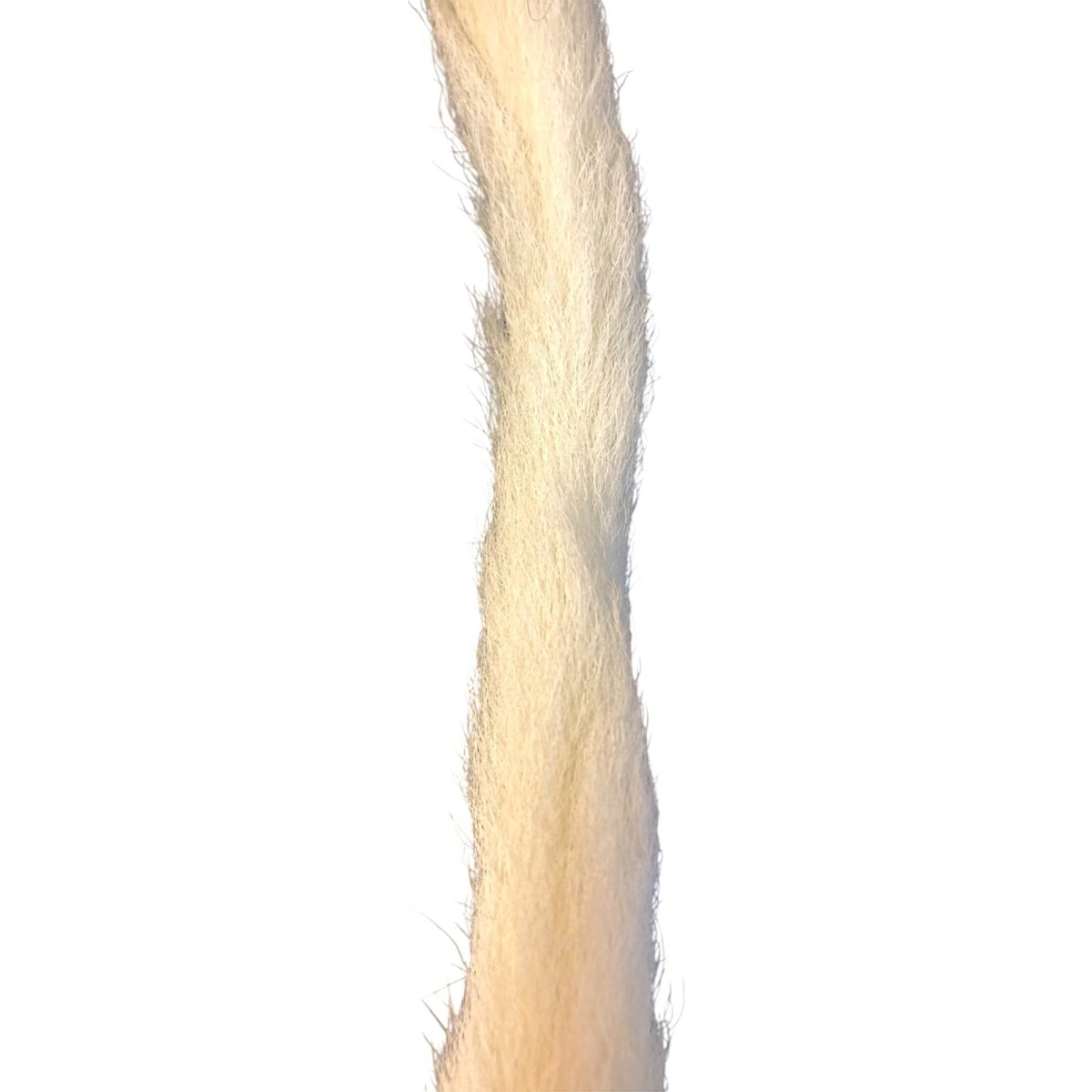 画像2: Calf Tail カーフテール ナチュラル CART37 数量限定 希少マテリアル (2)