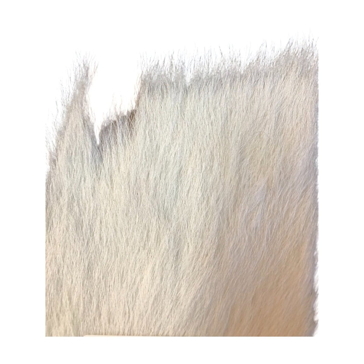 画像2: Calf body カーフボディー ナチュラル COWB4 数量限定 希少マテリアル (2)