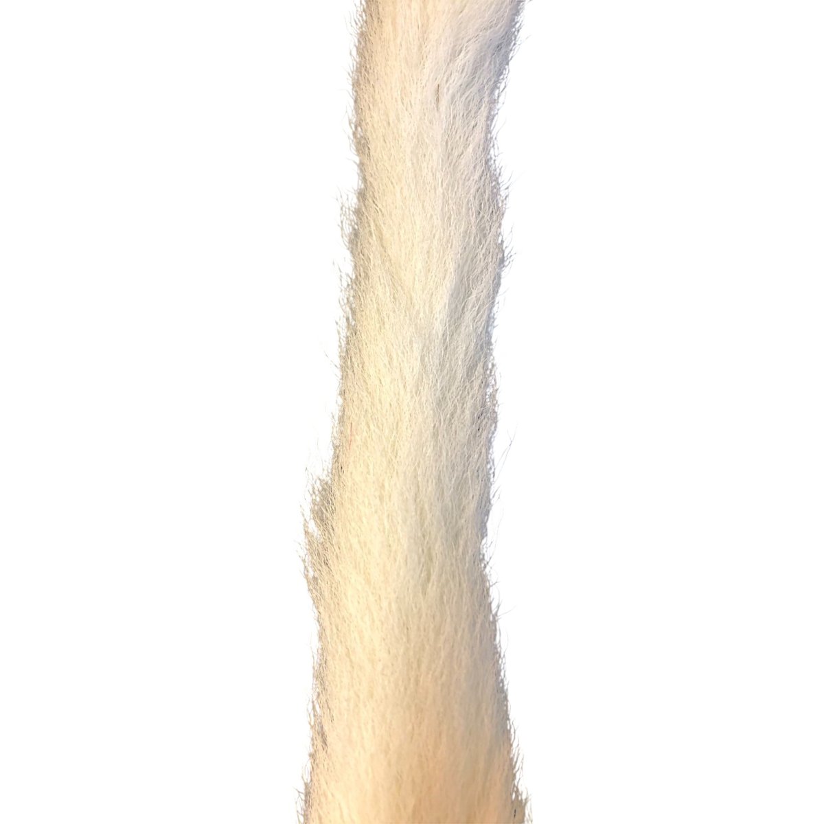 画像2: Calf Tail カーフテール ナチュラル CART32 数量限定 希少マテリアル (2)