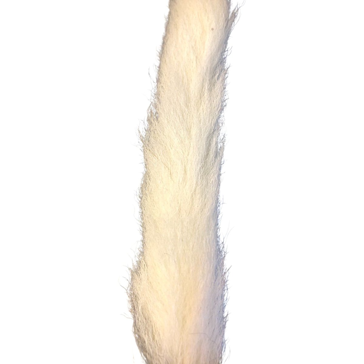 画像2: Calf Tail カーフテール ナチュラル CART31 数量限定 希少マテリアル (2)