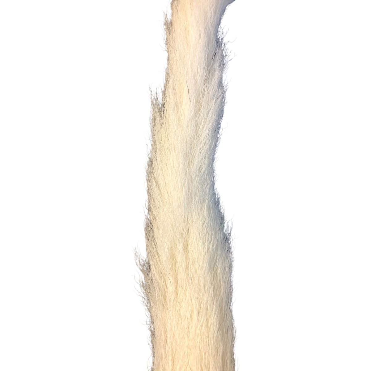 画像2: Calf Tail カーフテール ナチュラル CART8 数量限定 希少マテリアル (2)