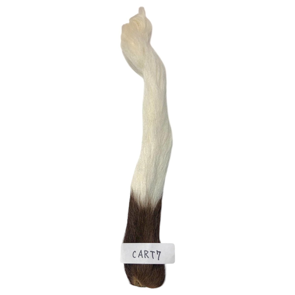 画像1: Calf Tail　カーフテール　ナチュラル　CART7　数量限定　希少マテリアル (1)