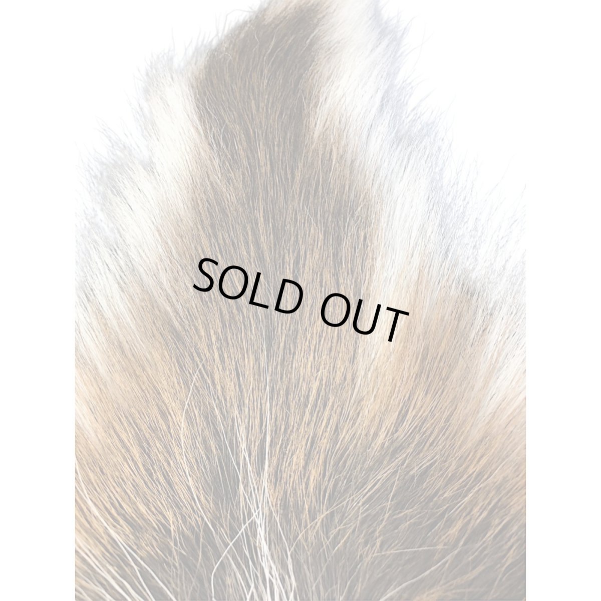 画像2: BACK TAIL バックテール ナチュラル BAT4 数量限定 希少マテリアル (2)