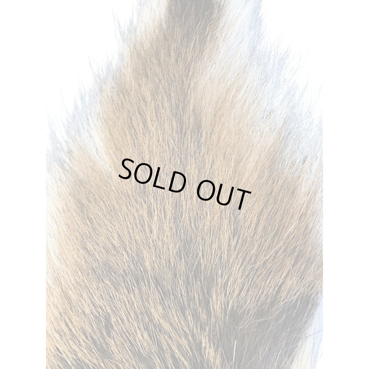 画像2: BACK TAIL バックテール ナチュラル BAT5 数量限定 希少マテリアル (2)