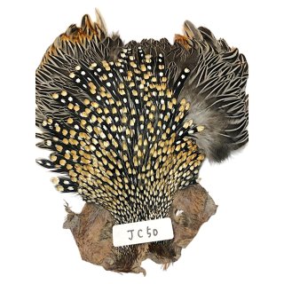 ジャングルコック ジャングルコック NO1 JUNGLE COCK - 鱒夢