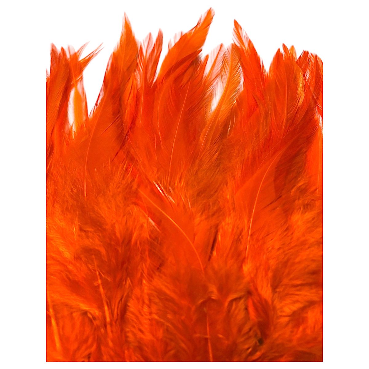 画像2: SWEETFISH  Cock sadlle コックサドル  スイートフィッシュ (2)