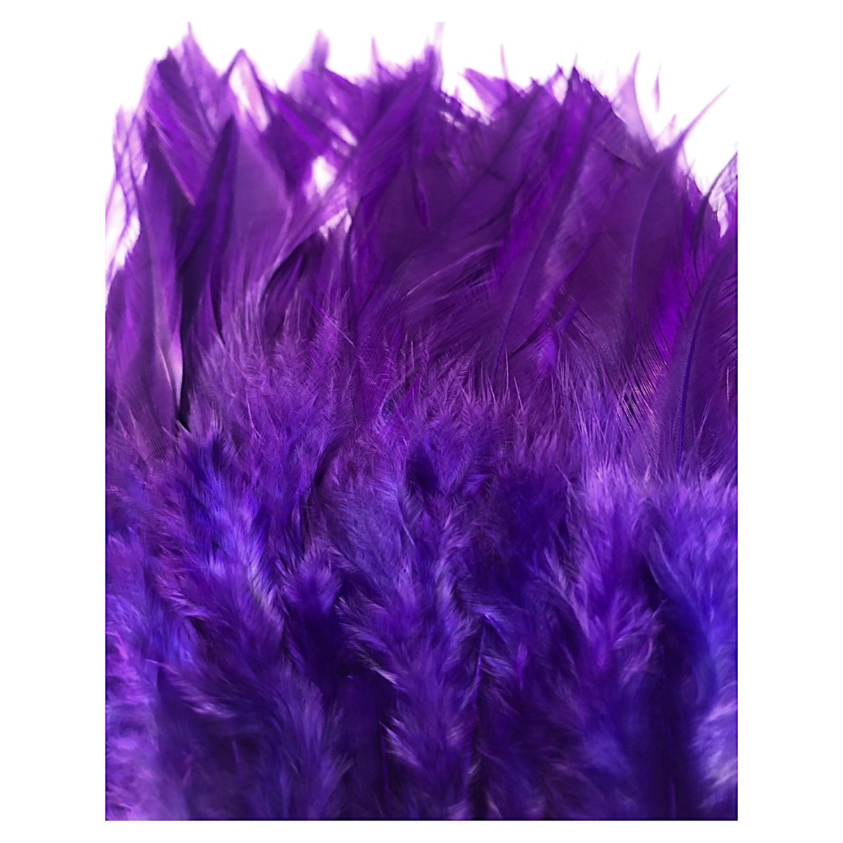 画像4: SWEETFISH  Cock sadlle コックサドル  スイートフィッシュ (4)