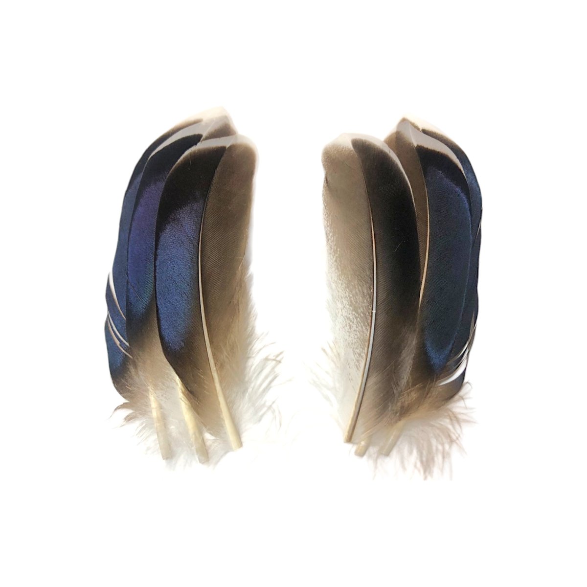 画像2: SWEETFISH  WHITE TIP BLUE MALLARD  ホワイトティップブルーマラード (2)