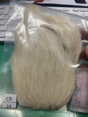 画像1: インド5枚 (1)