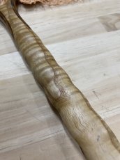 画像8: 國ネット　湖　本流　サクラマス　サイズ　KN40 (8)