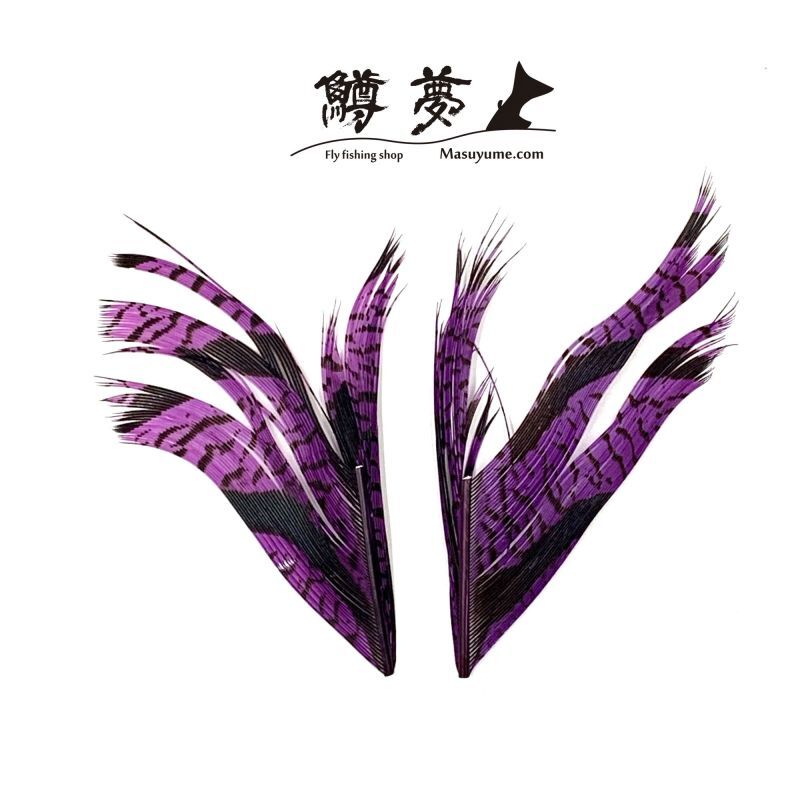 アムハーストフェザント センターテールAm Hurst Pheasant - 鱒夢