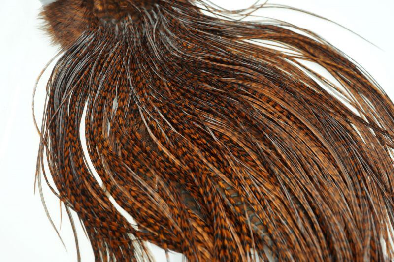 ホワイティング ルースターサドル Whiting Rooster Saddle グリズリーダイドコーチマンブラウン 鱒夢