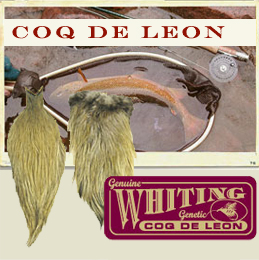 ホワイティング コックデレオン　ルースターサドル　Whiting Coq de Leon Rooster Saddle　グリズリーパルド