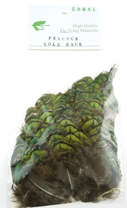 画像1: CANAL  キャナル　ピーコック　ゴールドバック　PEACOCK GOLD BACK (1)