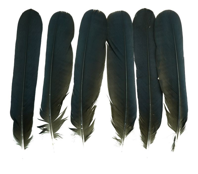 画像1: CANAL  キャナル　クロウテイル　Crow Tail (1)
